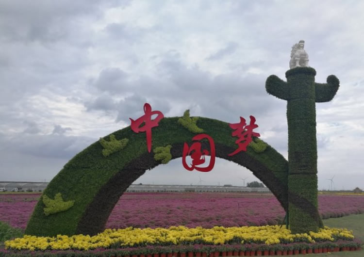 陜西勞動節(jié)五色草造型